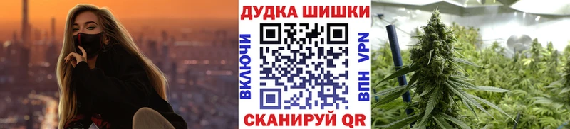 Бошки Шишки планчик Гаврилов-Ям